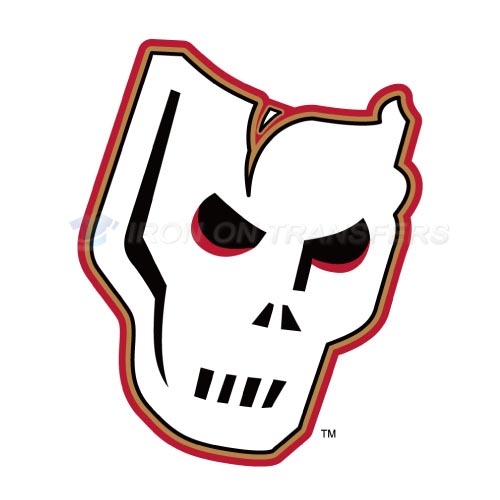 Calgary Hitmen Iron-on Stickers (Heat Transfers)NO.7494